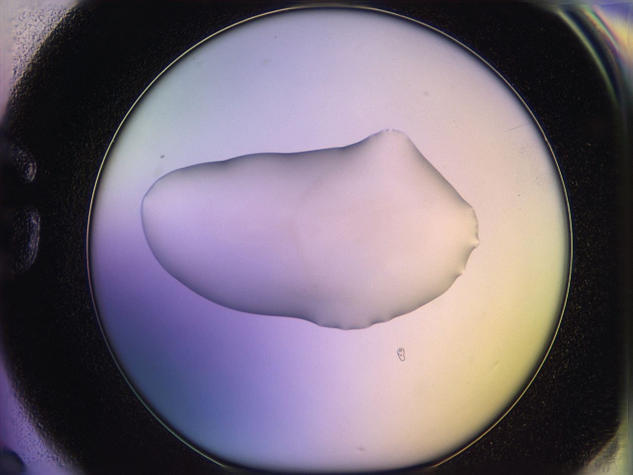 05qn_G6_ImagerDefaults_1.jpg