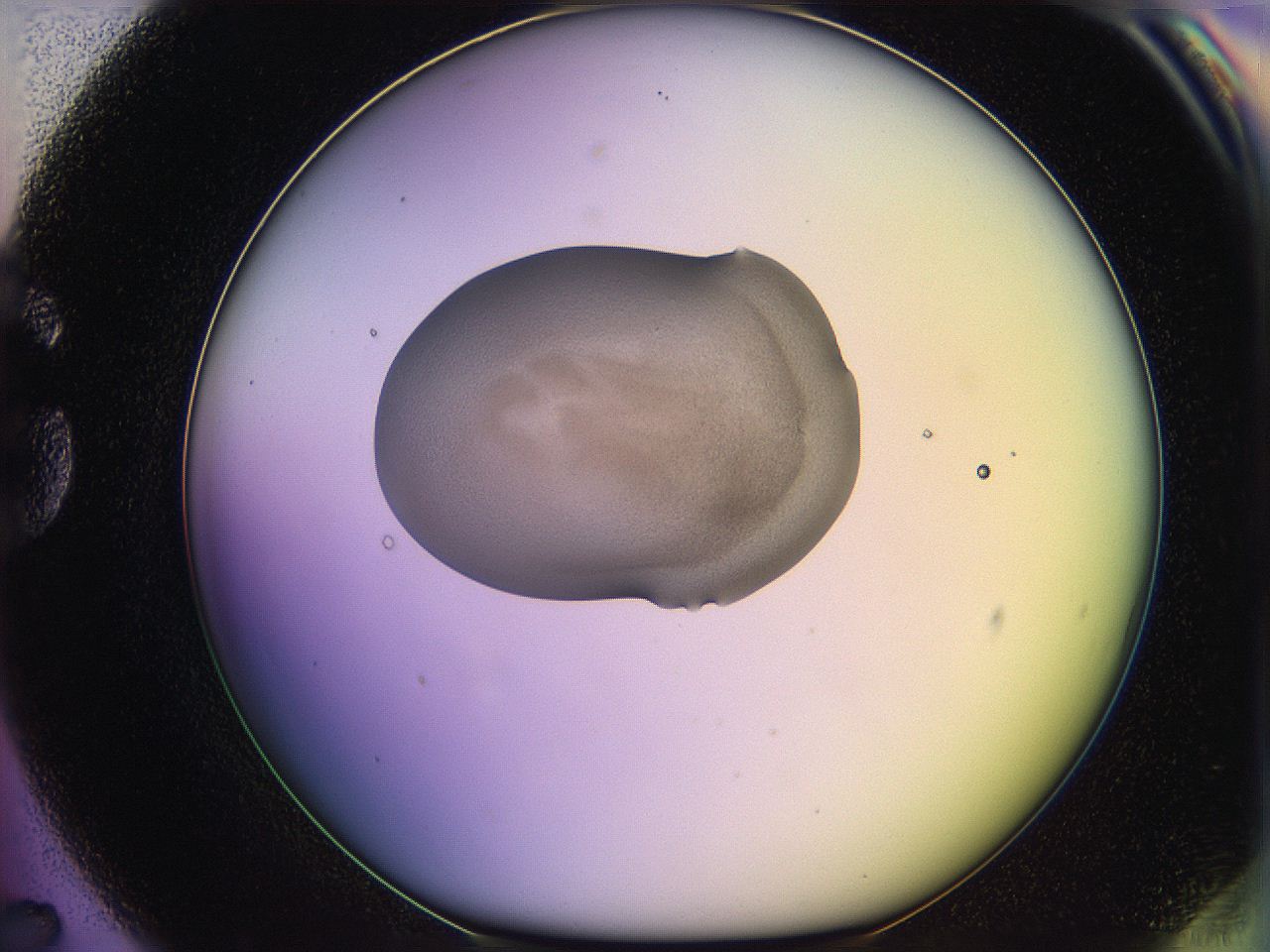 05qn_G7_ImagerDefaults_3.jpg