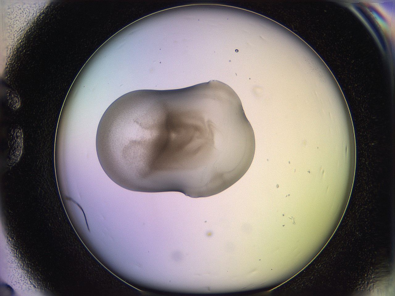 05qn_G8_ImagerDefaults_3.jpg