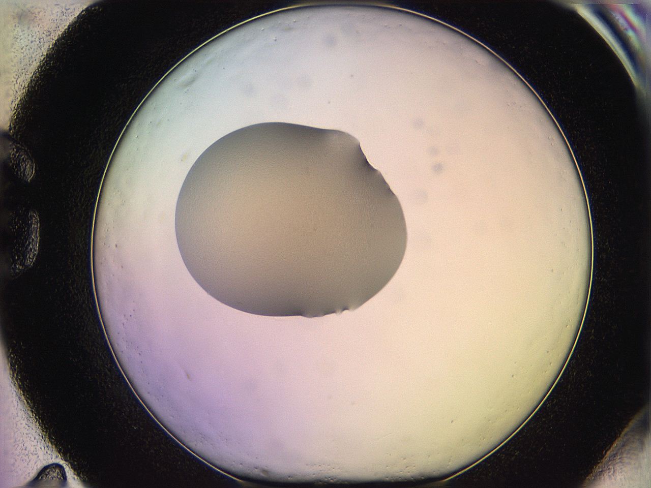 05qn_G11_ImagerDefaults_3.jpg