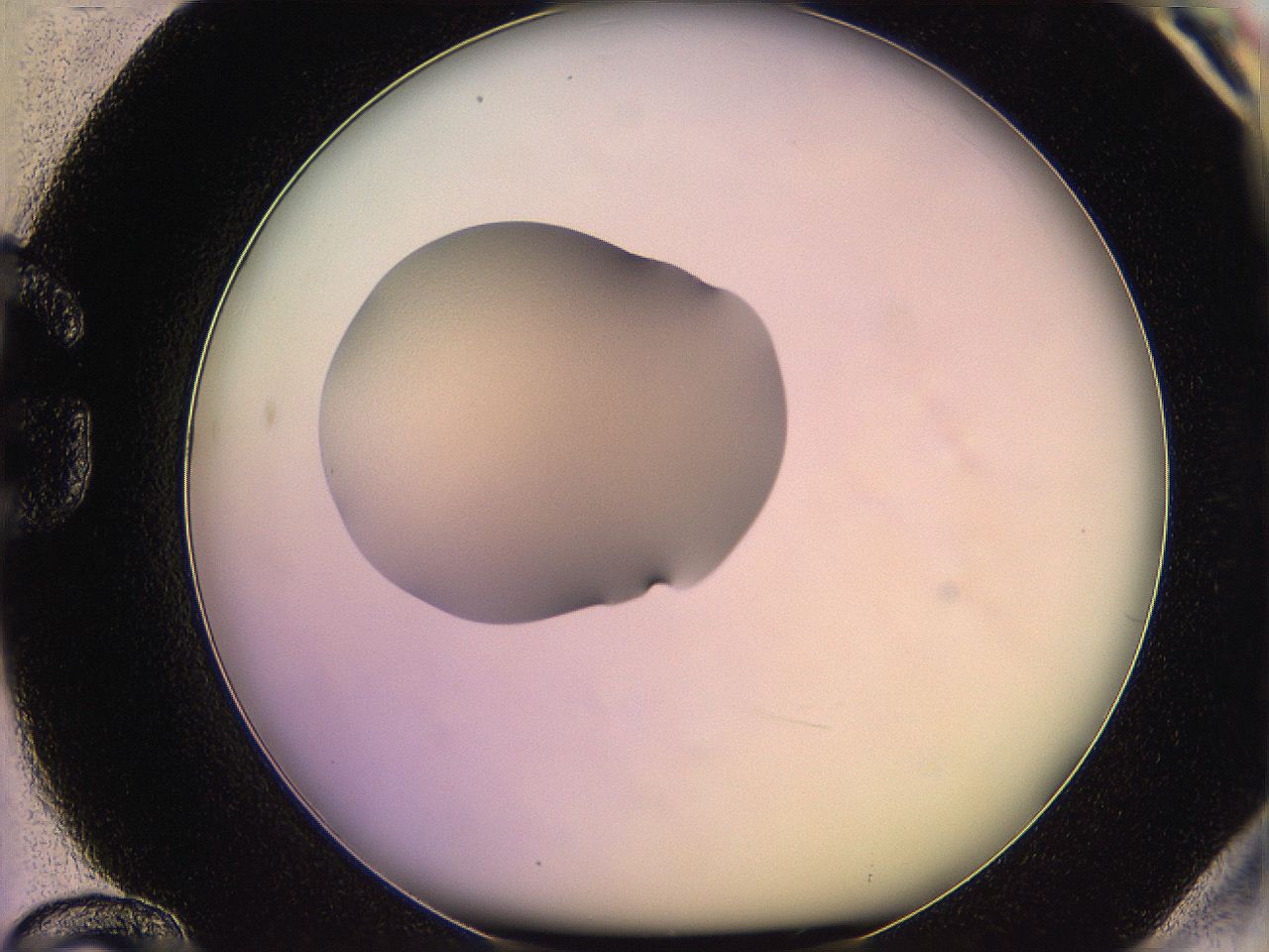 05qn_G12_ImagerDefaults_1.jpg