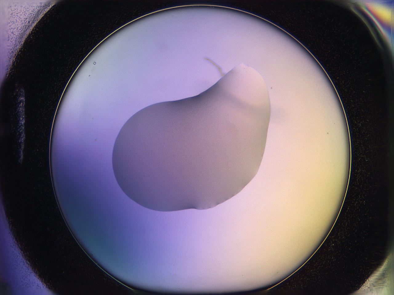 05qn_H4_ImagerDefaults_1.jpg