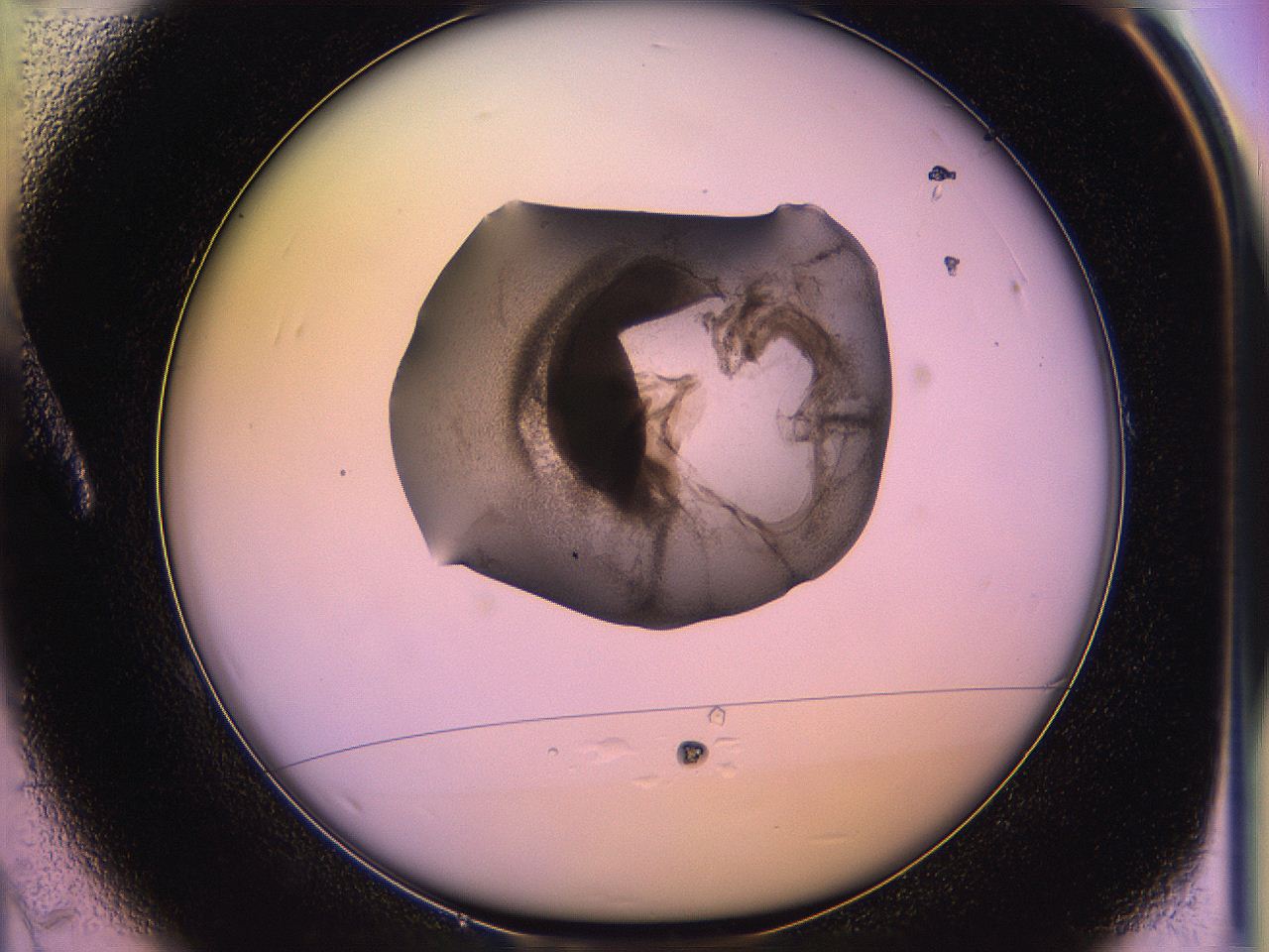 05qo_A1_ImagerDefaults_3.jpg