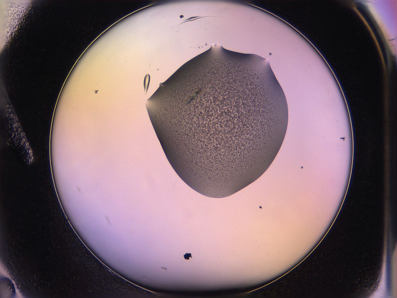 05qo_A2_ImagerDefaults_3.jpg