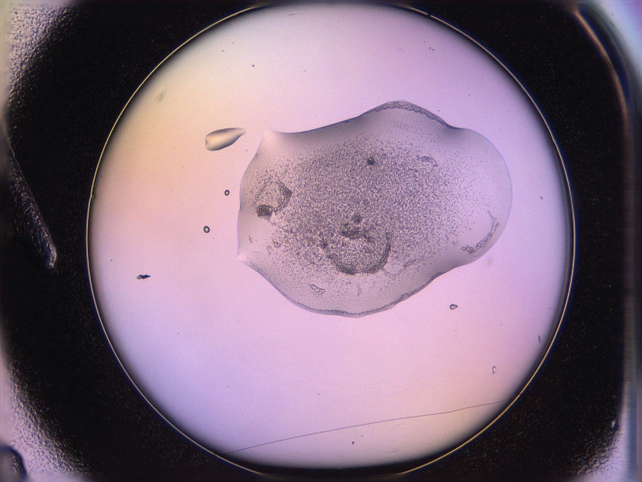 05qo_A3_ImagerDefaults_3.jpg
