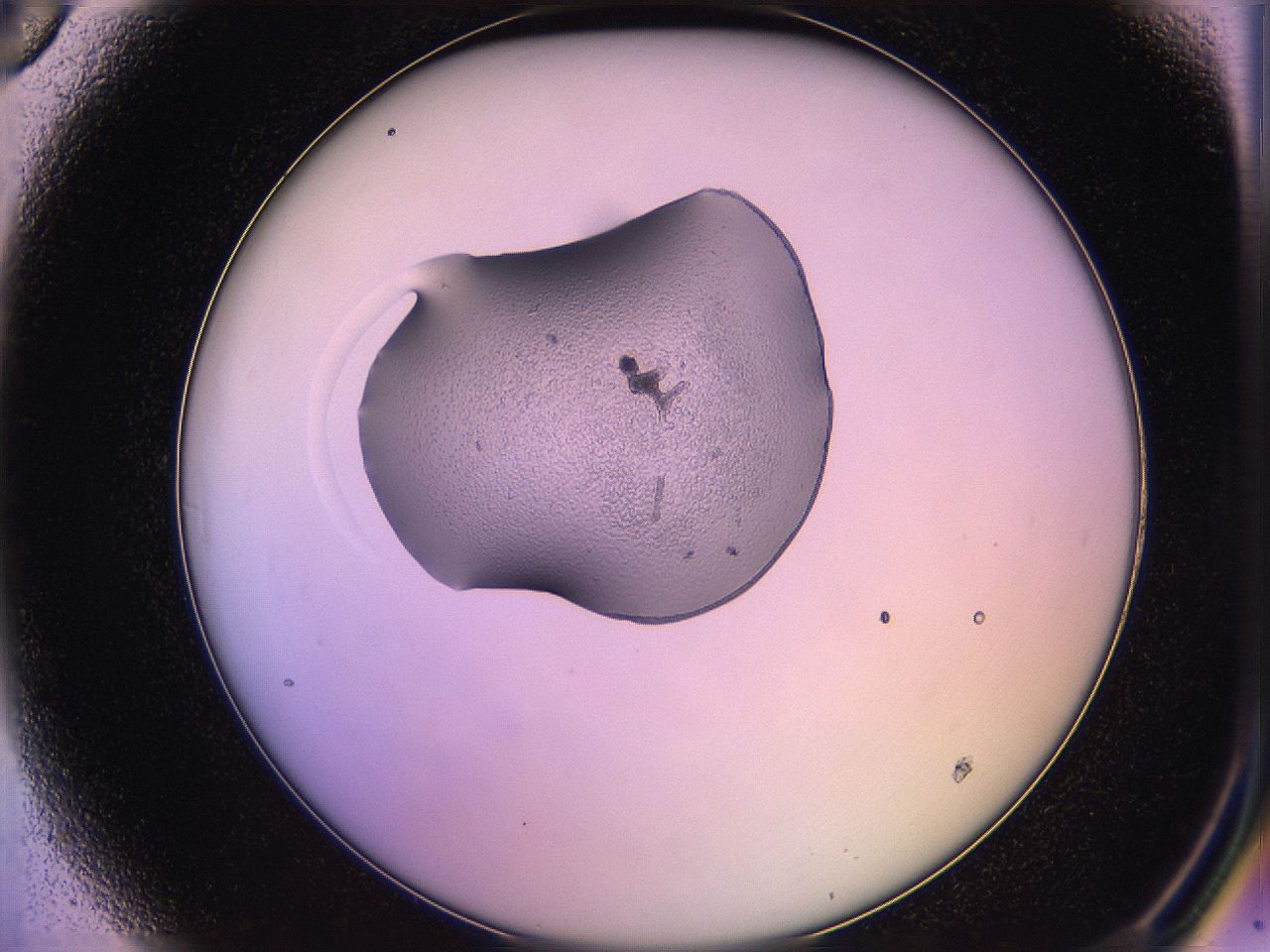 05qo_A6_ImagerDefaults_2.jpg