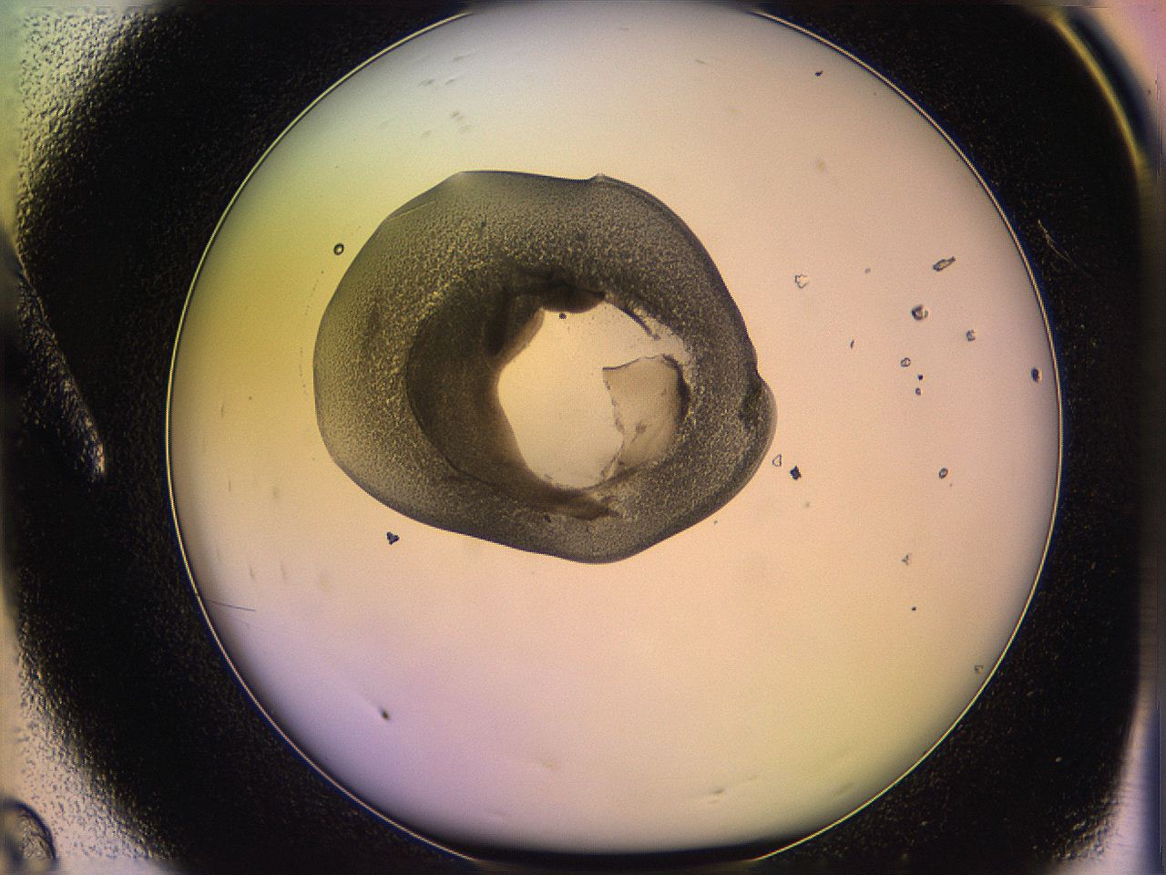 05qo_A8_ImagerDefaults_3.jpg