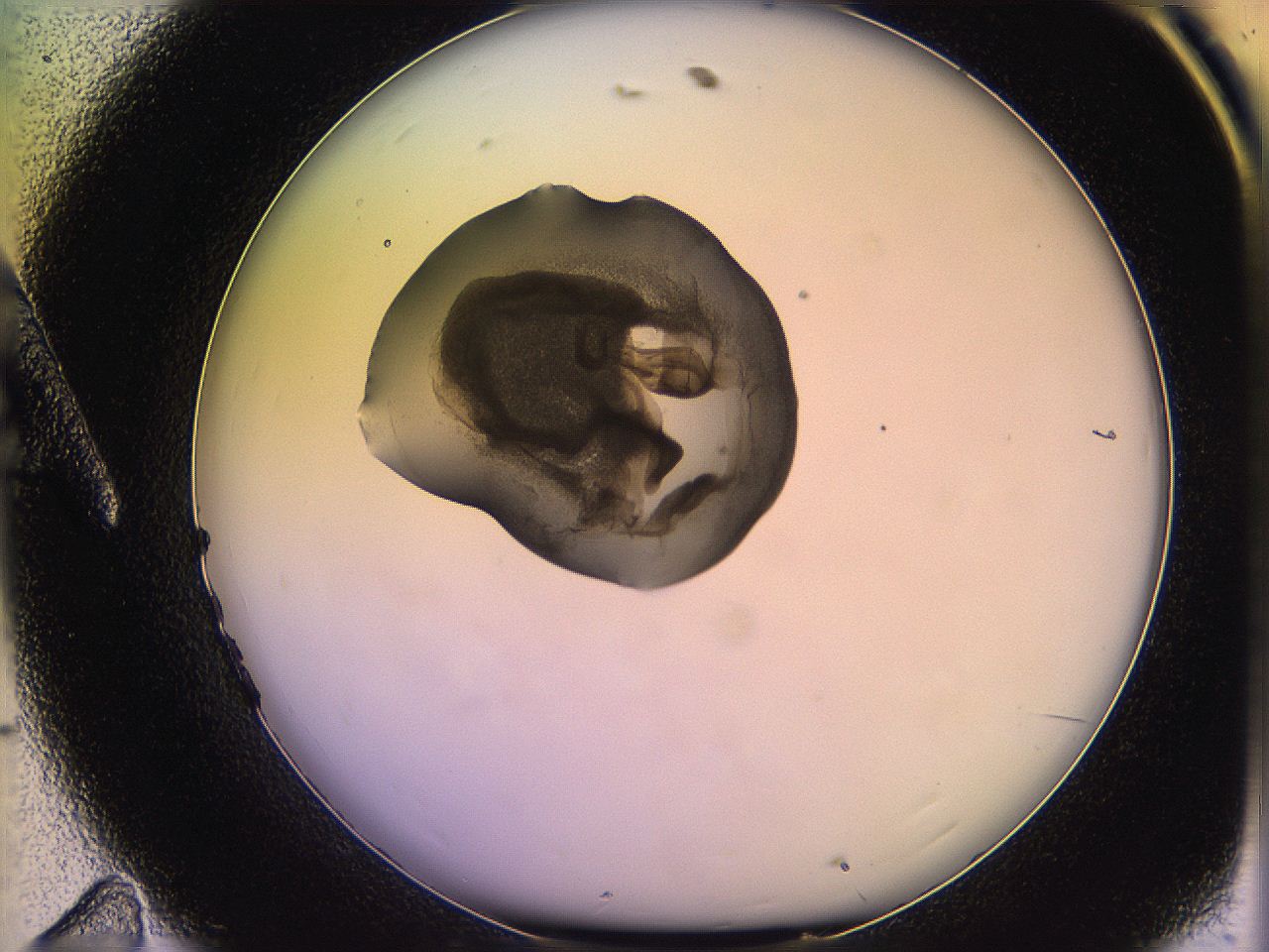 05qo_A11_ImagerDefaults_3.jpg
