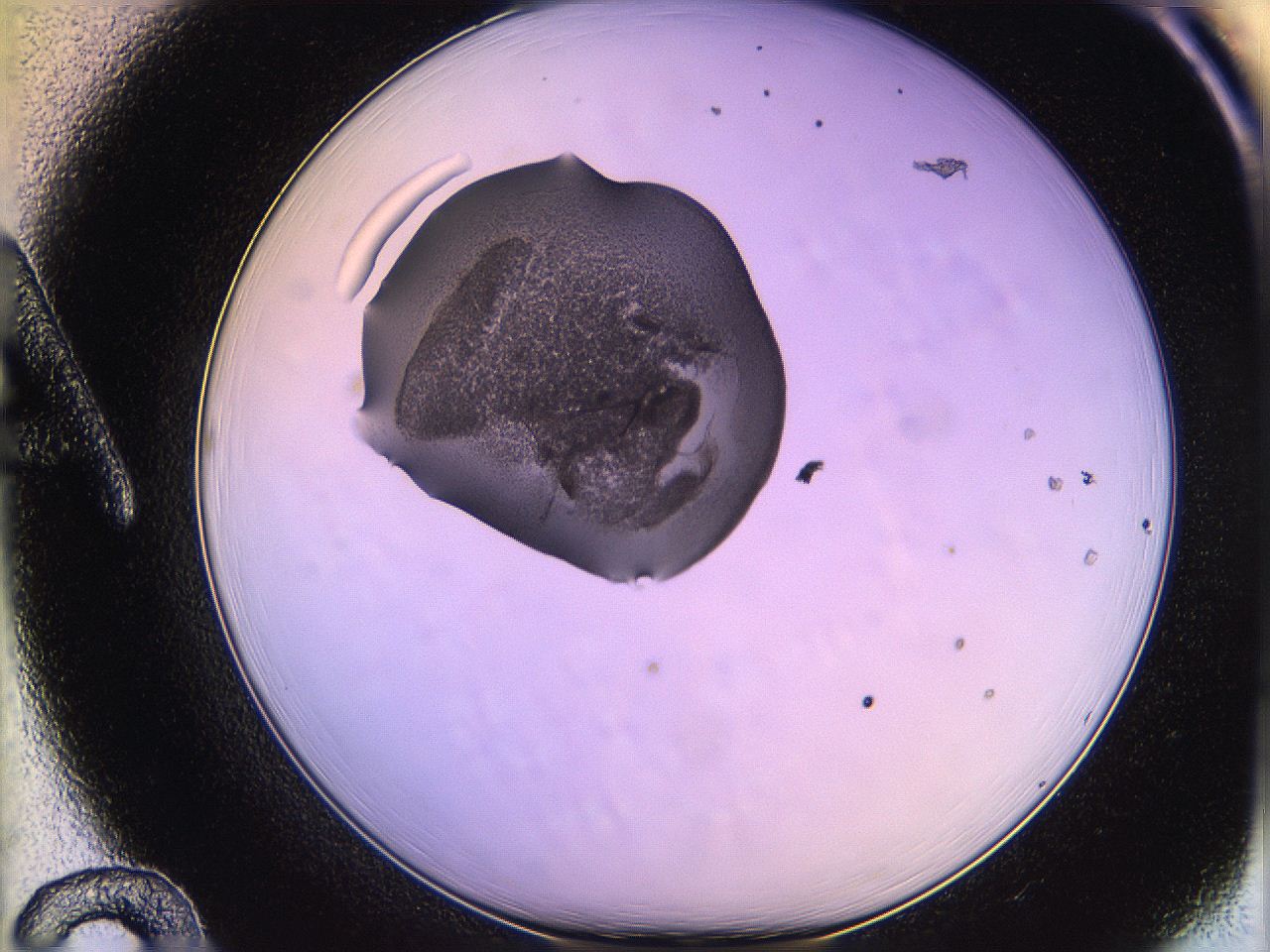 05qo_A12_ImagerDefaults_3.jpg