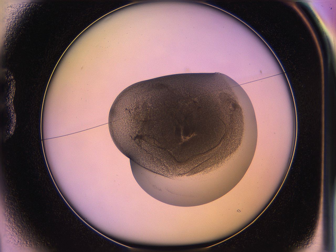 05qo_B1_ImagerDefaults_3.jpg