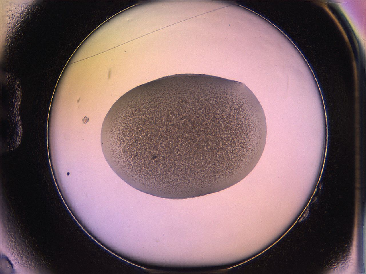 05qo_B2_ImagerDefaults_3.jpg
