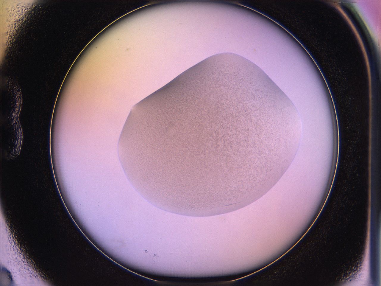 05qo_B3_ImagerDefaults_3.jpg