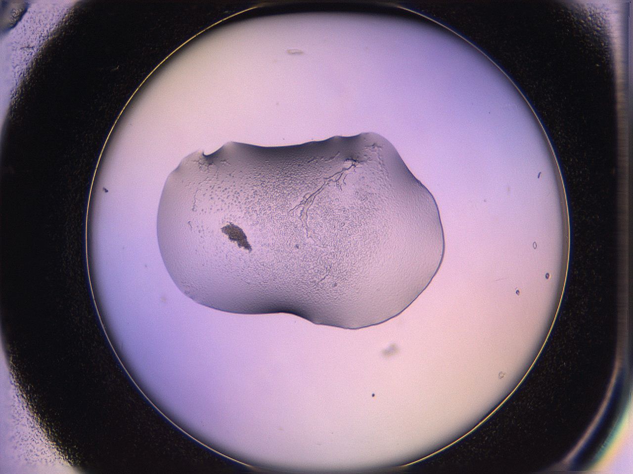 05qo_B5_ImagerDefaults_2.jpg