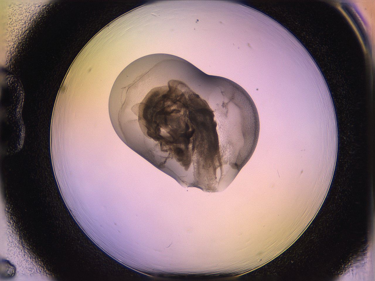 05qo_B6_ImagerDefaults_3.jpg