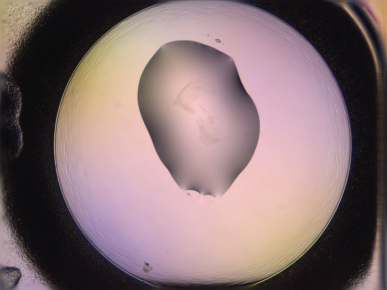 05qo_B7_ImagerDefaults_1.jpg