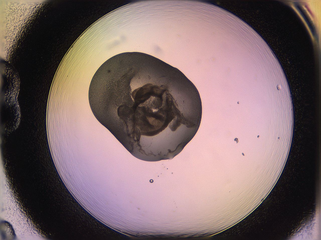05qo_B8_ImagerDefaults_3.jpg