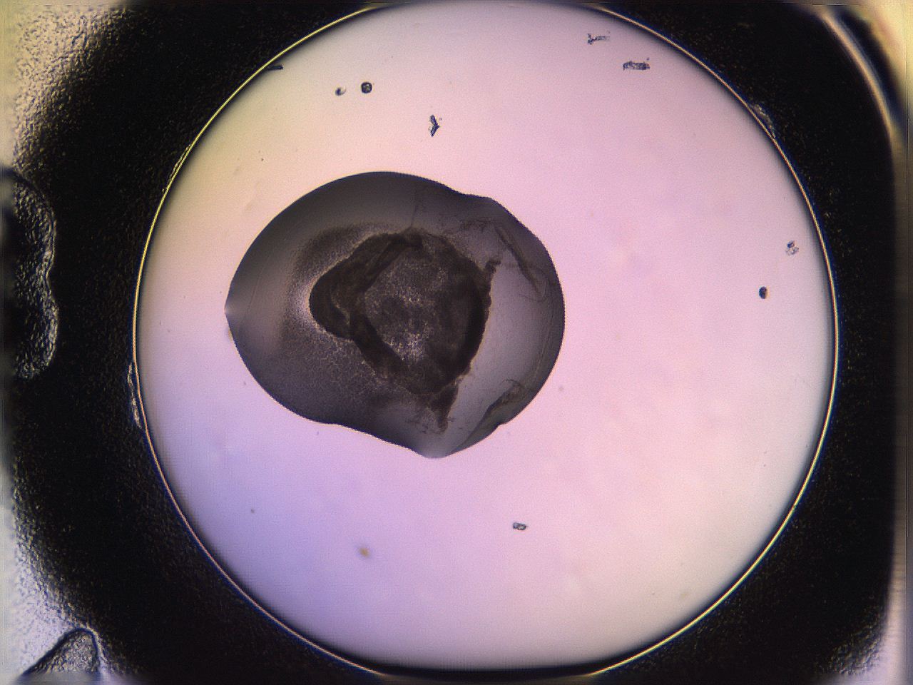 05qo_B11_ImagerDefaults_3.jpg