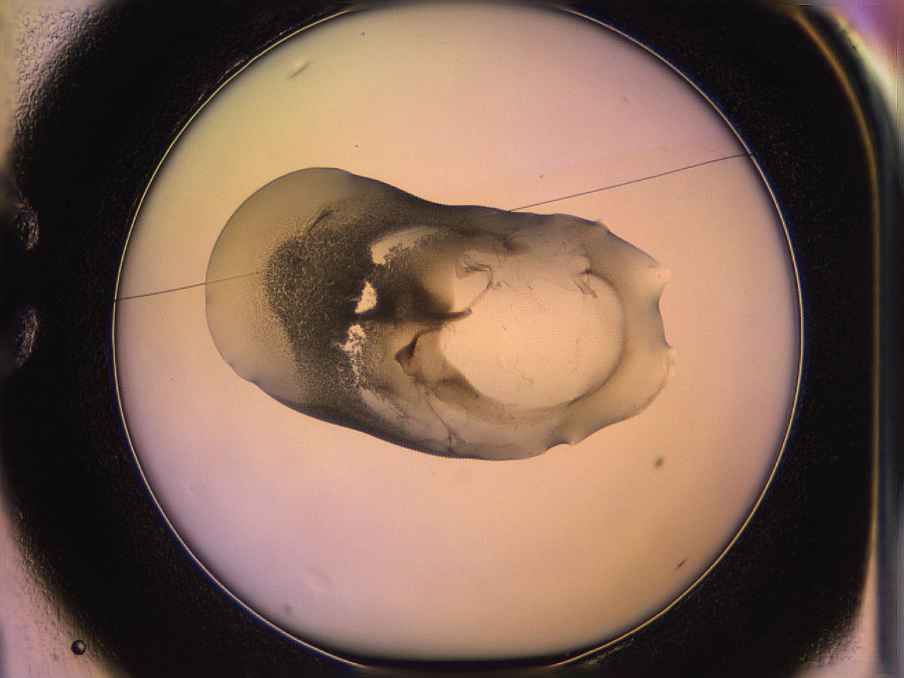 05qo_C1_ImagerDefaults_3.jpg