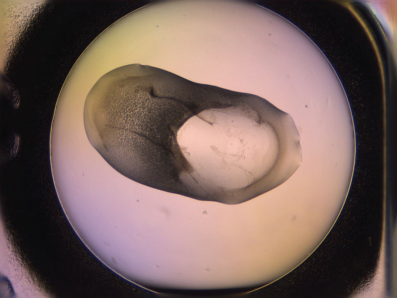 05qo_C2_ImagerDefaults_3.jpg