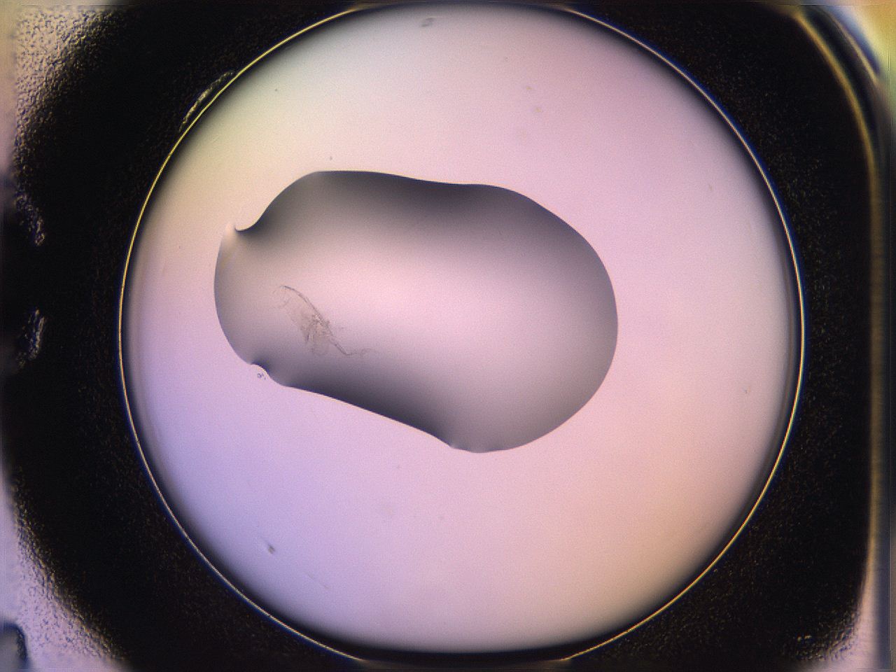 05qo_C4_ImagerDefaults_1.jpg