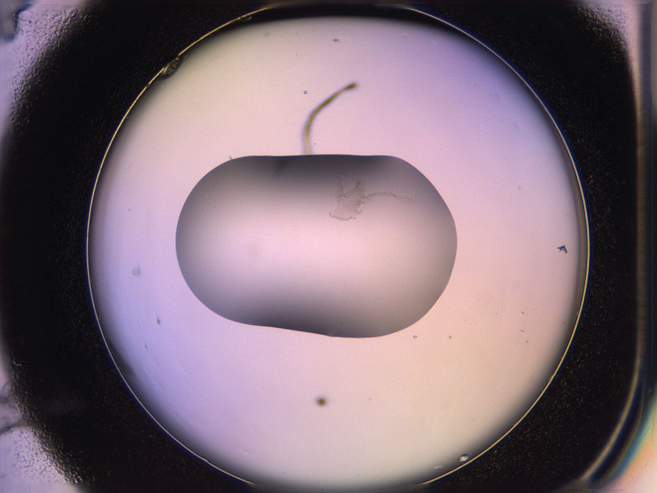 05qo_C4_ImagerDefaults_3.jpg