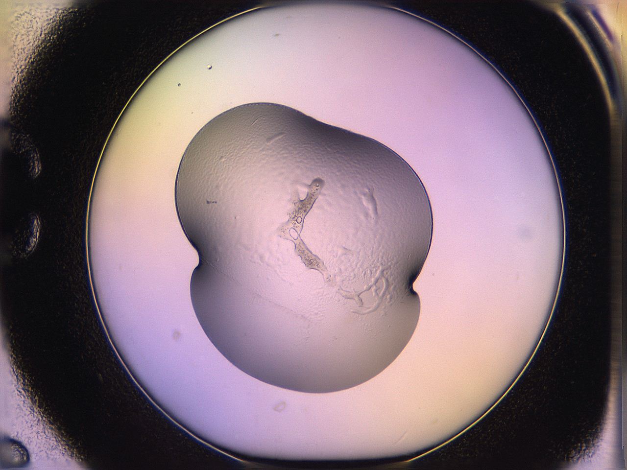 05qo_C6_ImagerDefaults_2.jpg