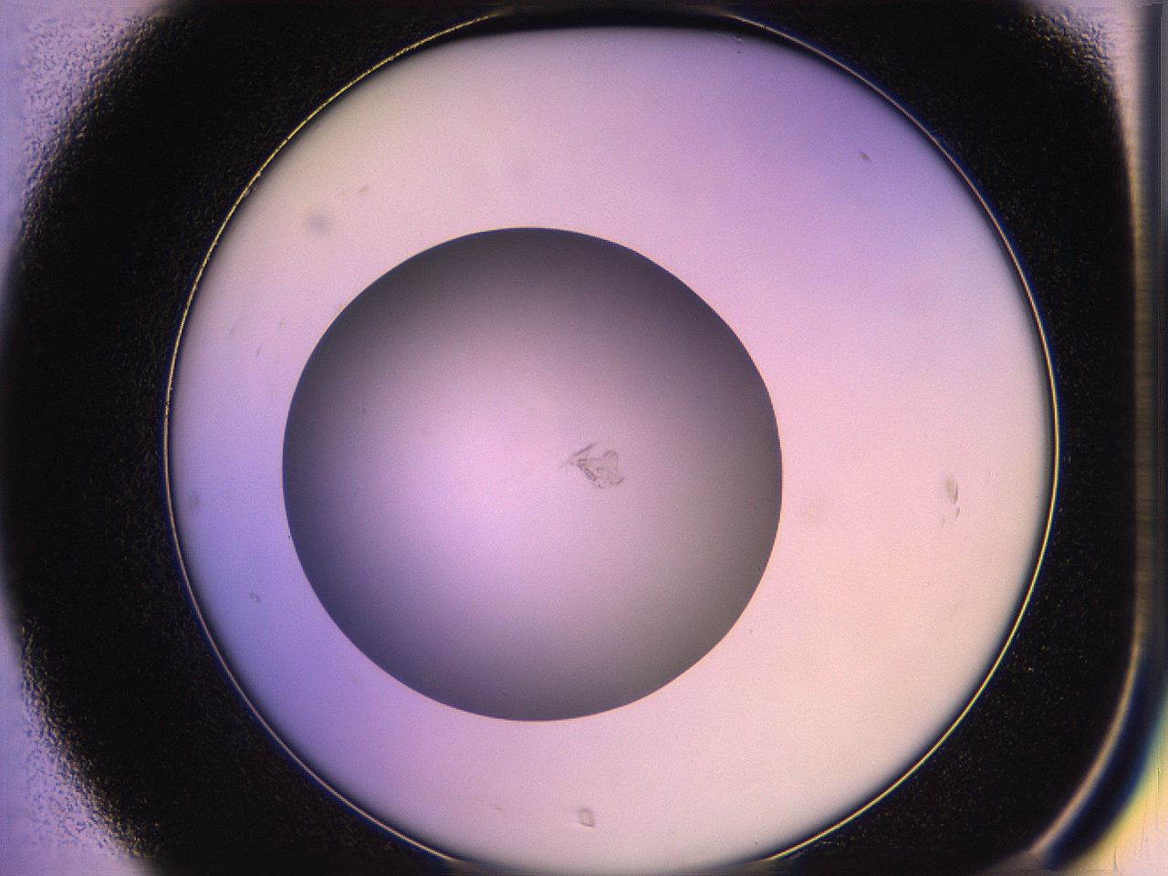 05qo_C7_ImagerDefaults_1.jpg