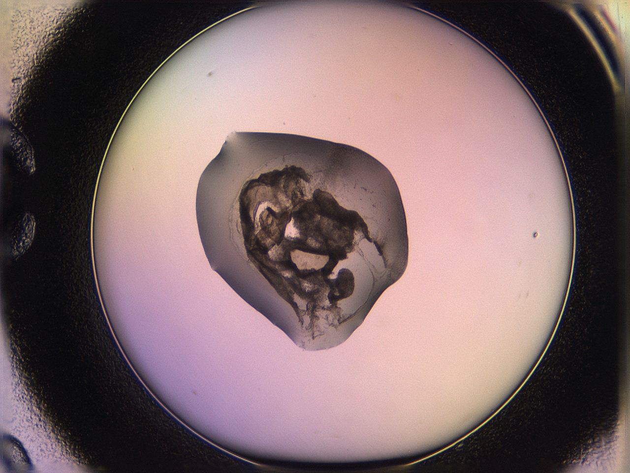 05qo_C9_ImagerDefaults_3.jpg