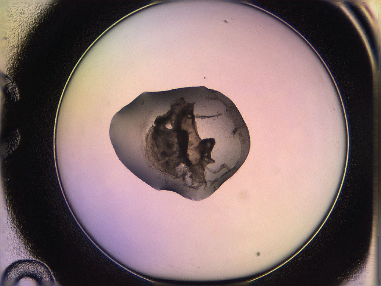 05qo_C10_ImagerDefaults_3.jpg