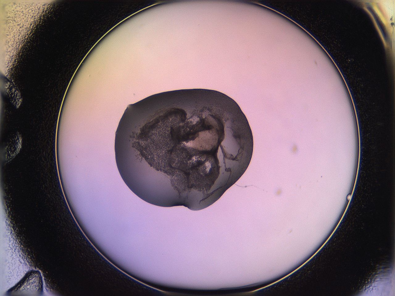 05qo_C11_ImagerDefaults_3.jpg