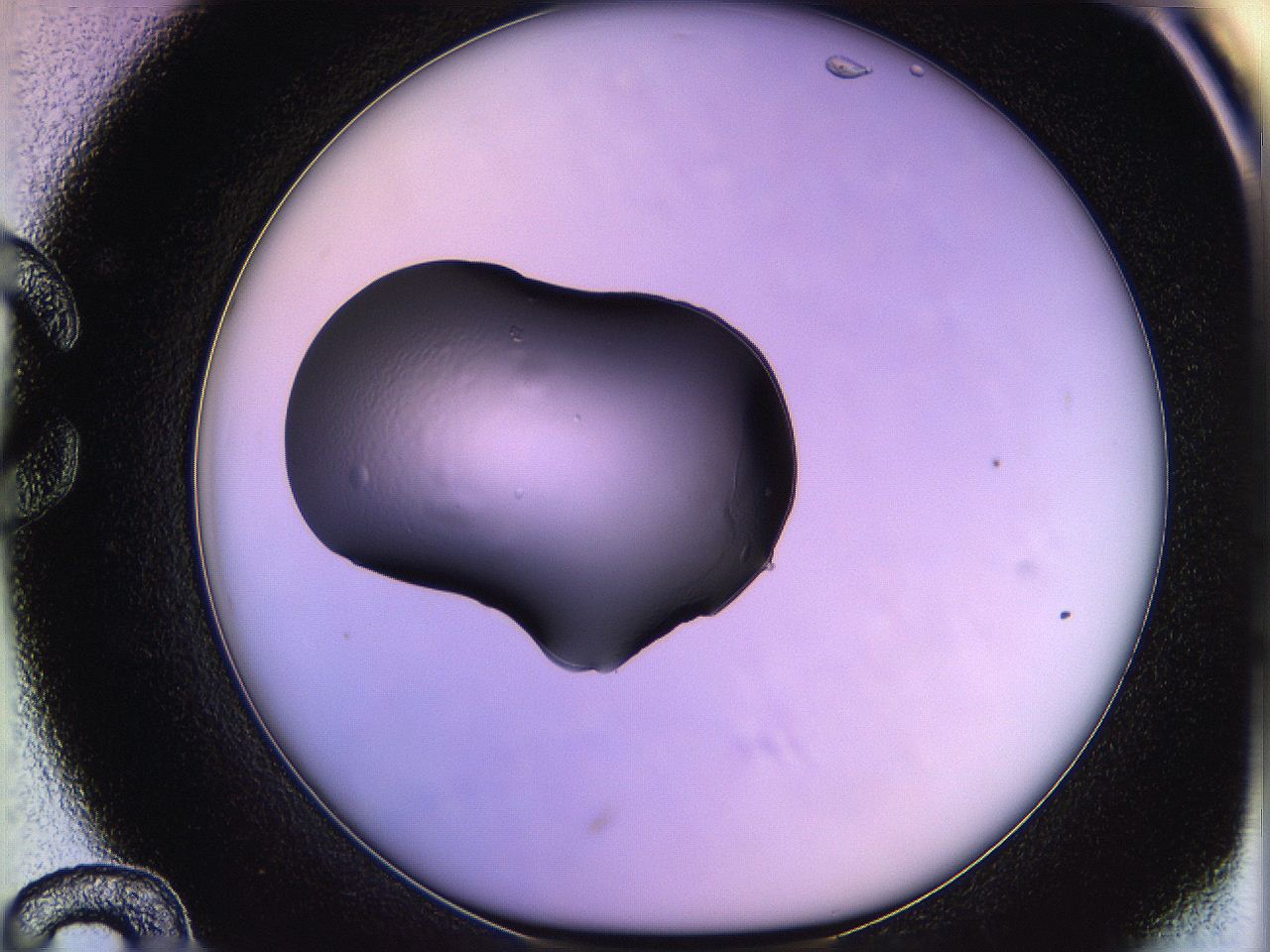 05qo_C12_ImagerDefaults_2.jpg