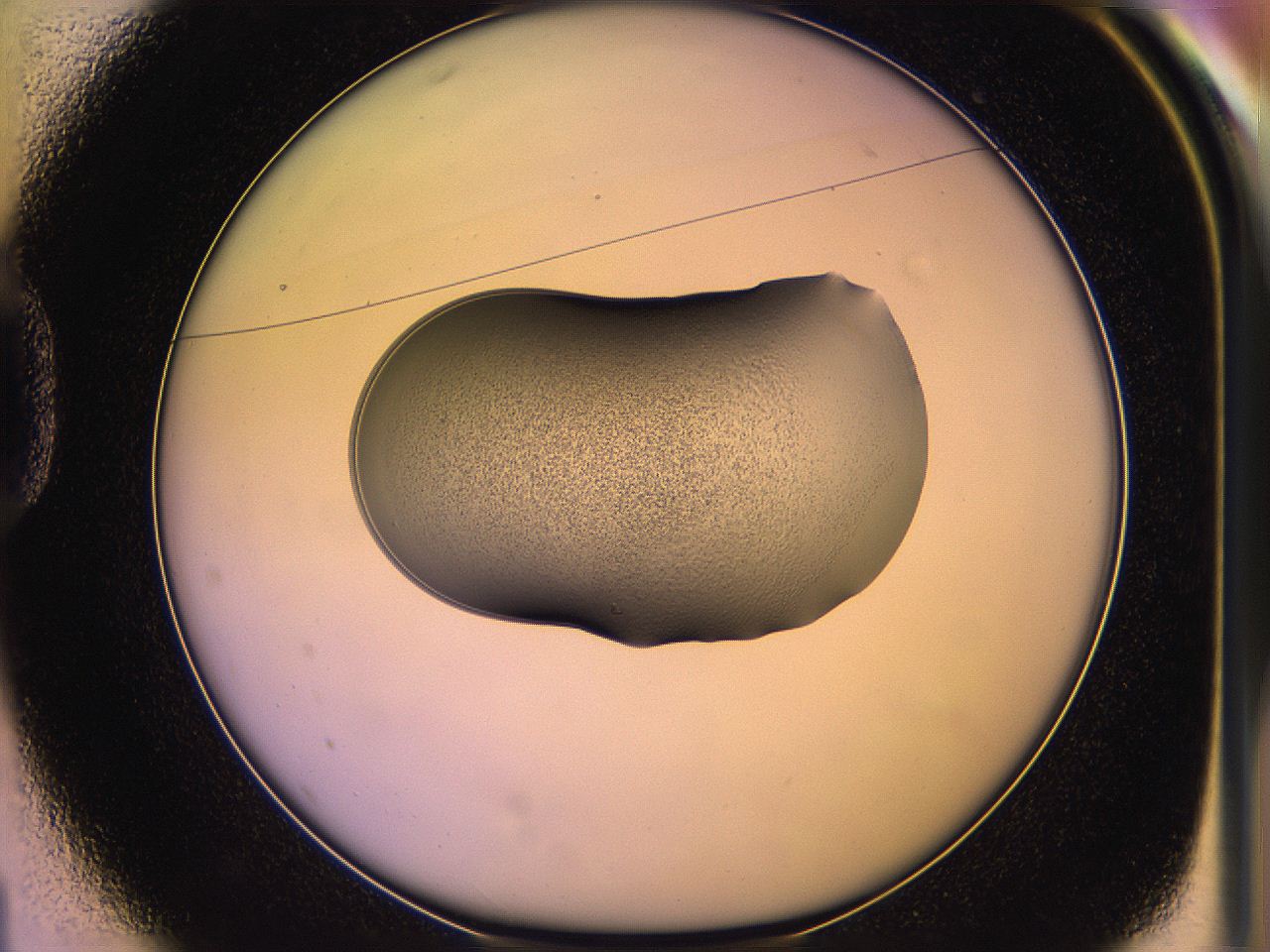 05qo_D1_ImagerDefaults_3.jpg
