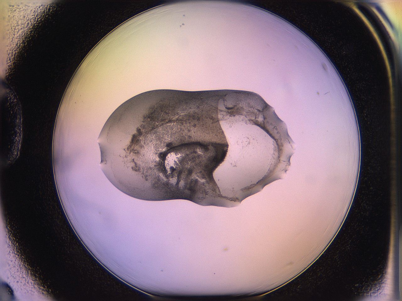 05qo_D3_ImagerDefaults_3.jpg