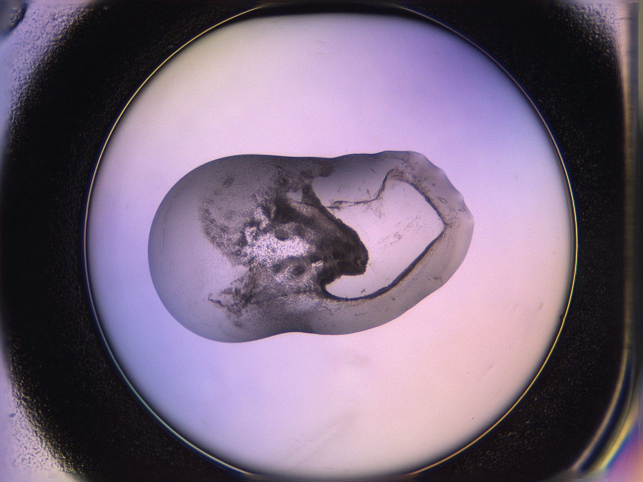 05qo_D3_ImagerDefaults_2.jpg