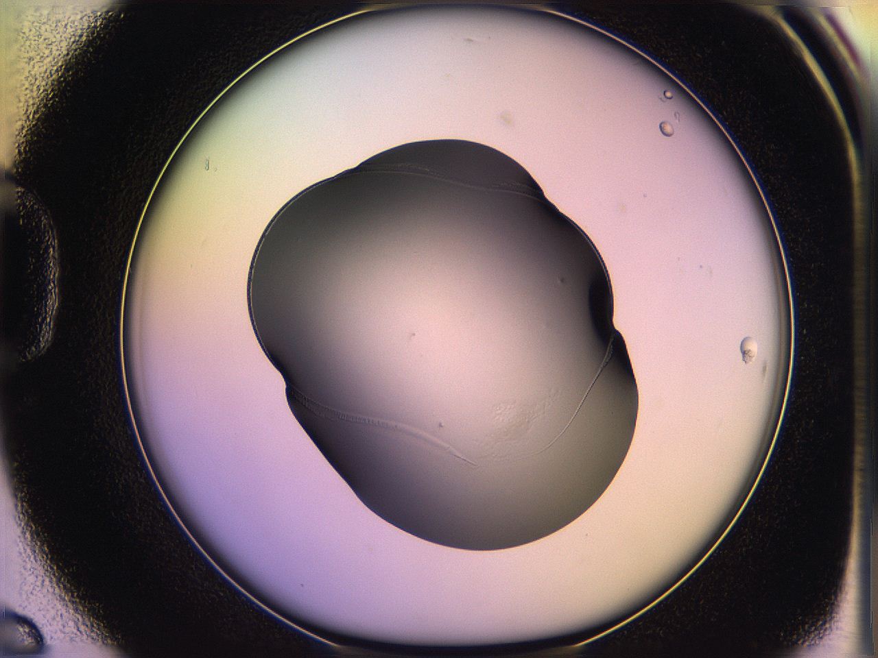 05qo_D6_ImagerDefaults_2.jpg