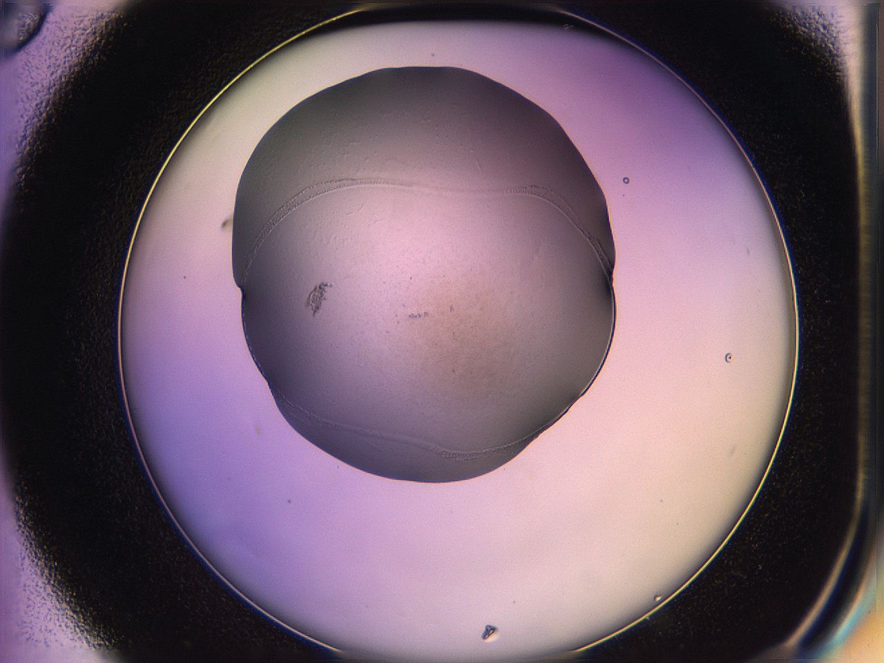 05qo_D6_ImagerDefaults_3.jpg