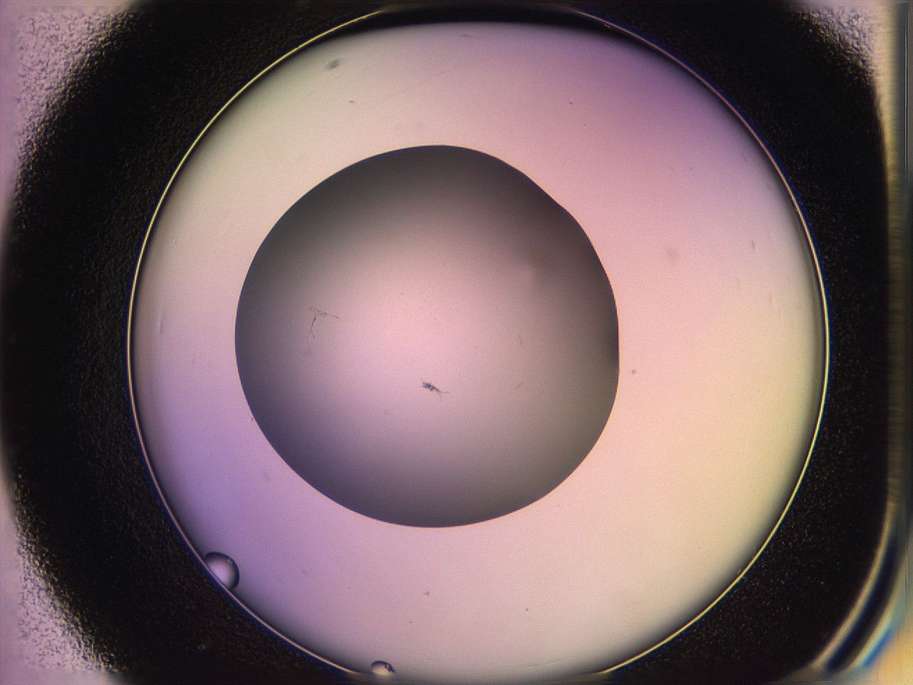 05qo_D7_ImagerDefaults_1.jpg