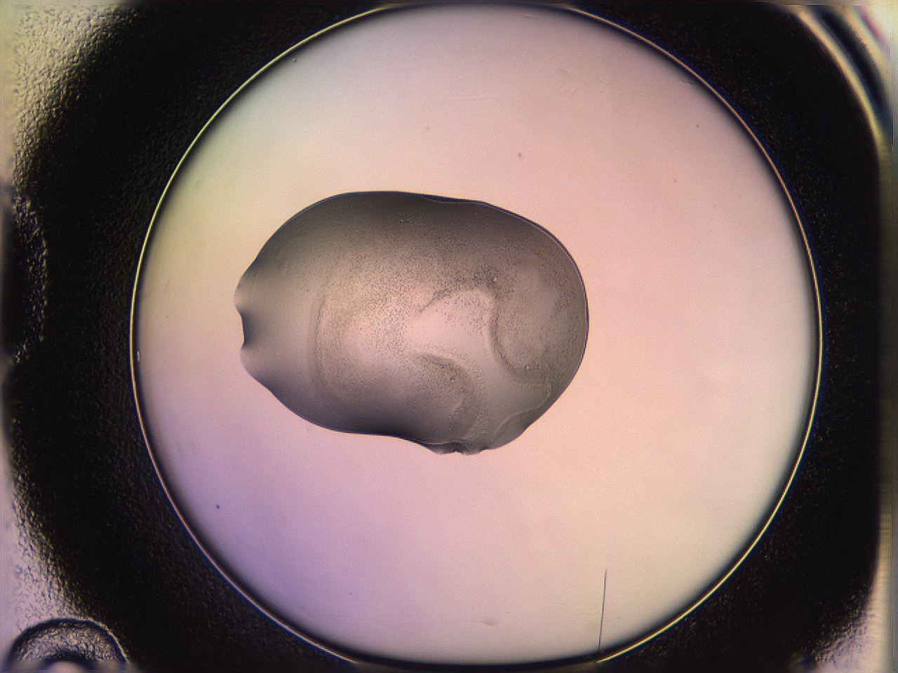05qo_D10_ImagerDefaults_2.jpg