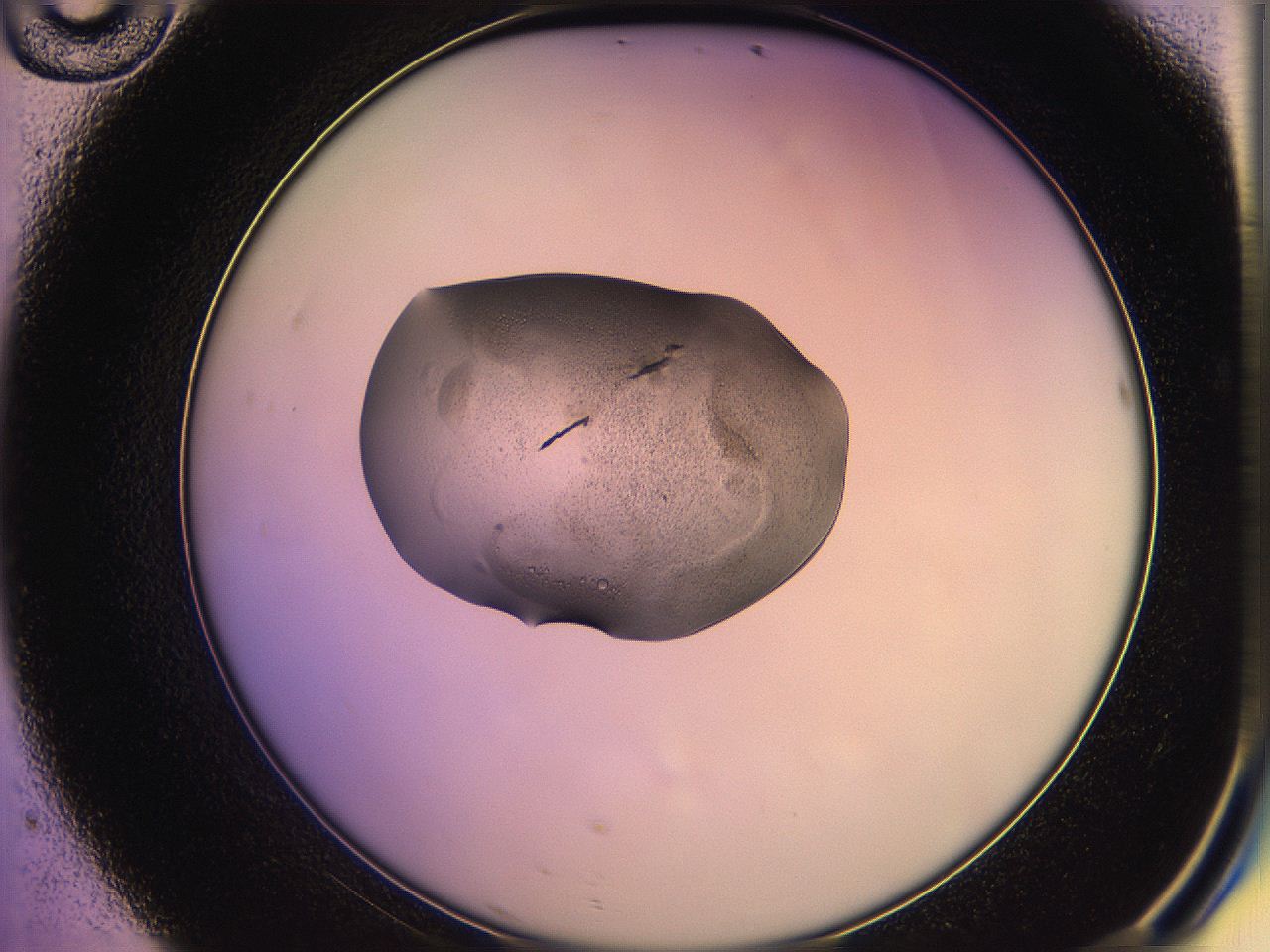 05qo_D10_ImagerDefaults_3.jpg