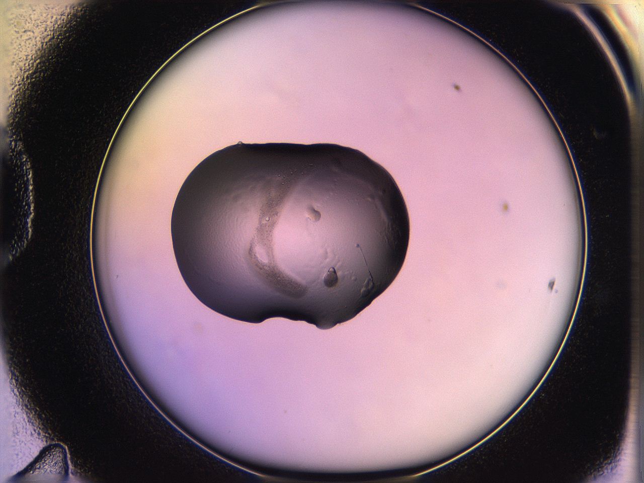 05qo_D11_ImagerDefaults_2.jpg