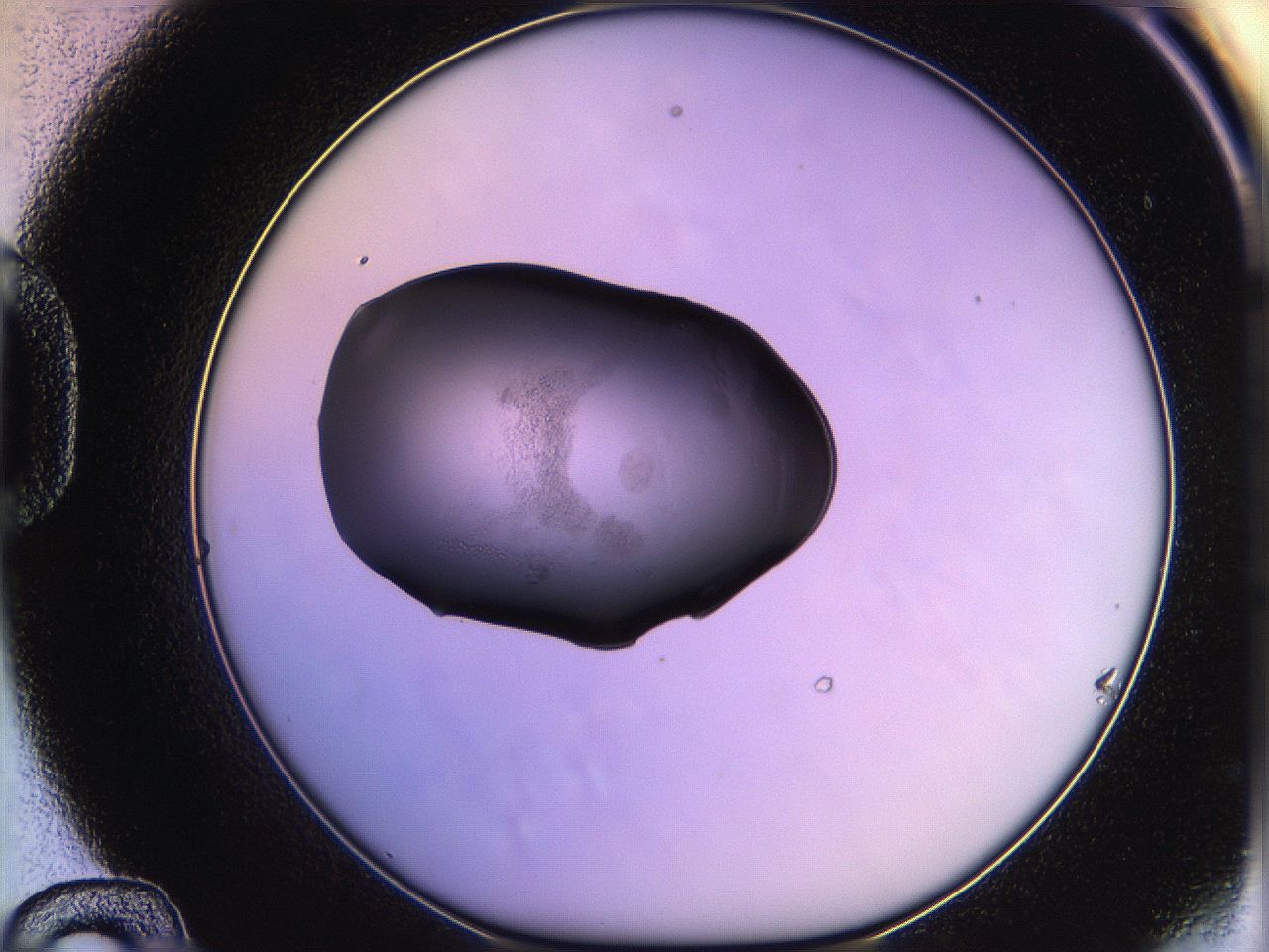 05qo_D12_ImagerDefaults_3.jpg