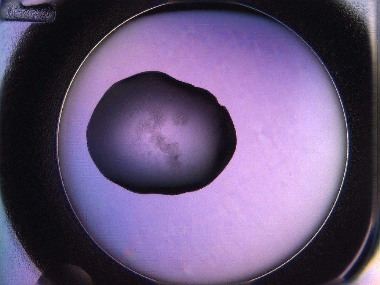 05qo_D12_ImagerDefaults_2.jpg