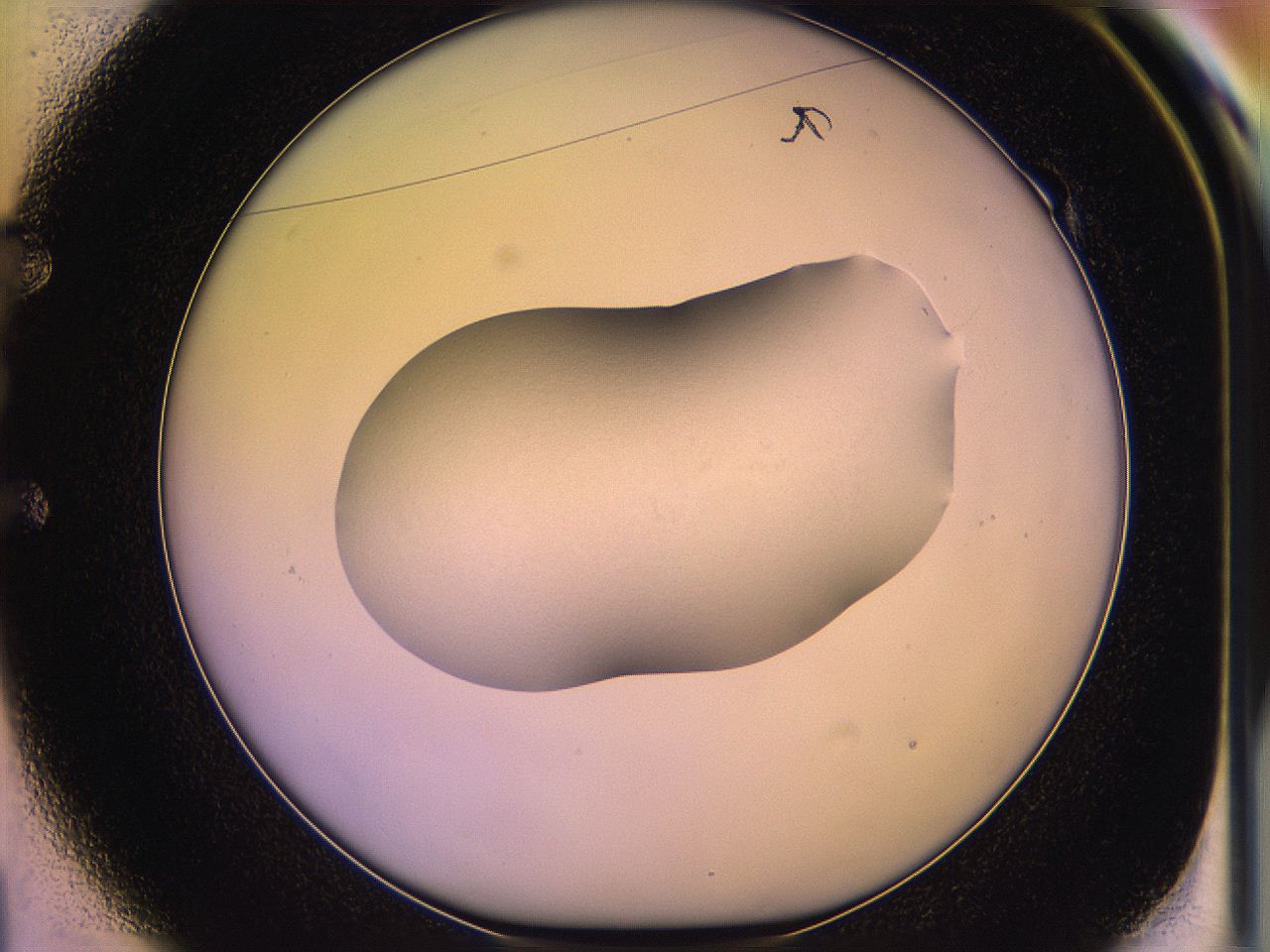 05qo_E1_ImagerDefaults_1.jpg