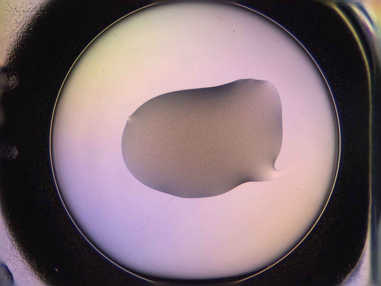 05qo_E2_ImagerDefaults_3.jpg