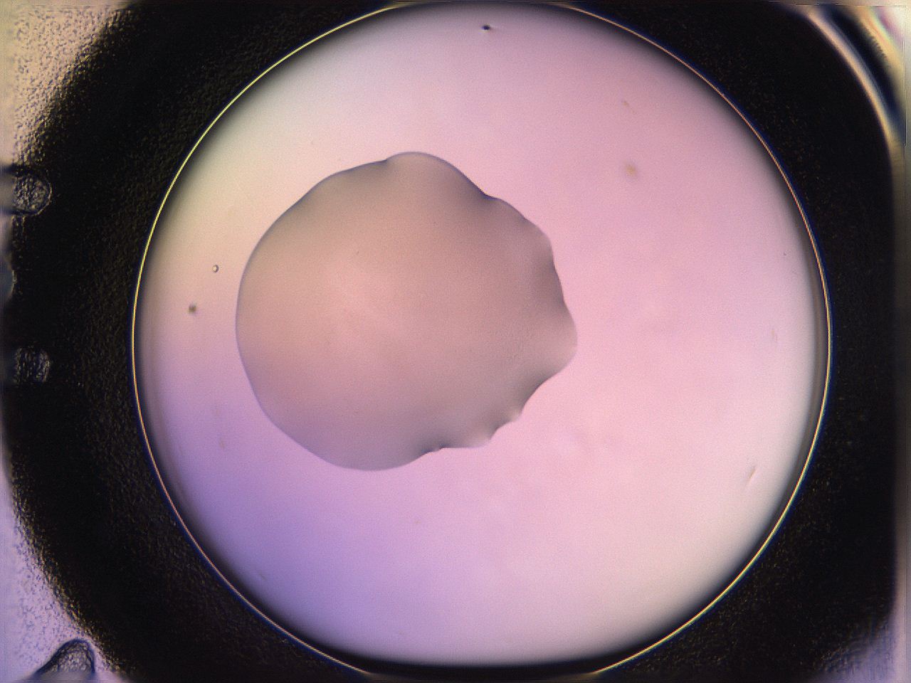 05qo_E11_ImagerDefaults_1.jpg