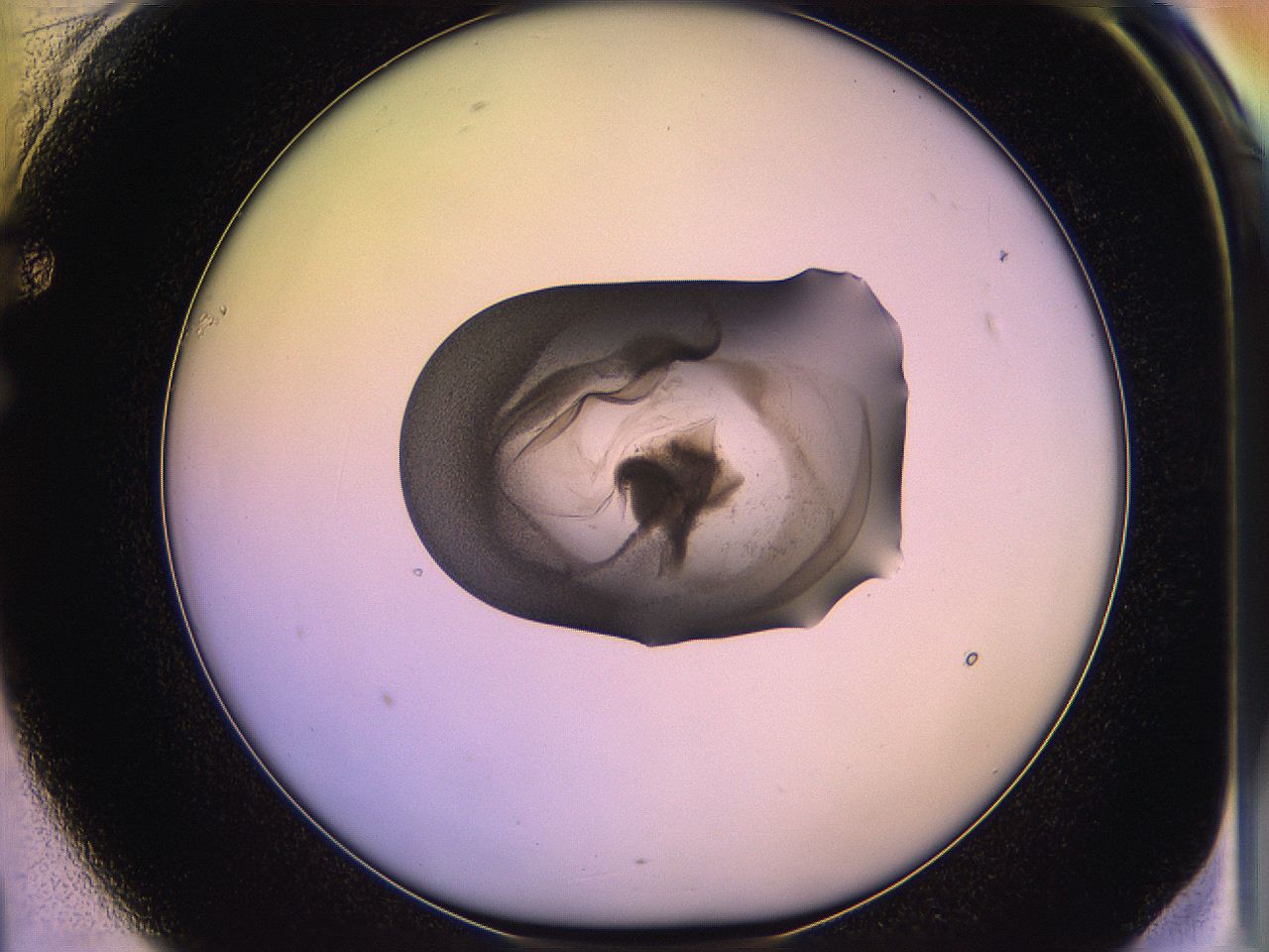 05qo_F1_ImagerDefaults_3.jpg