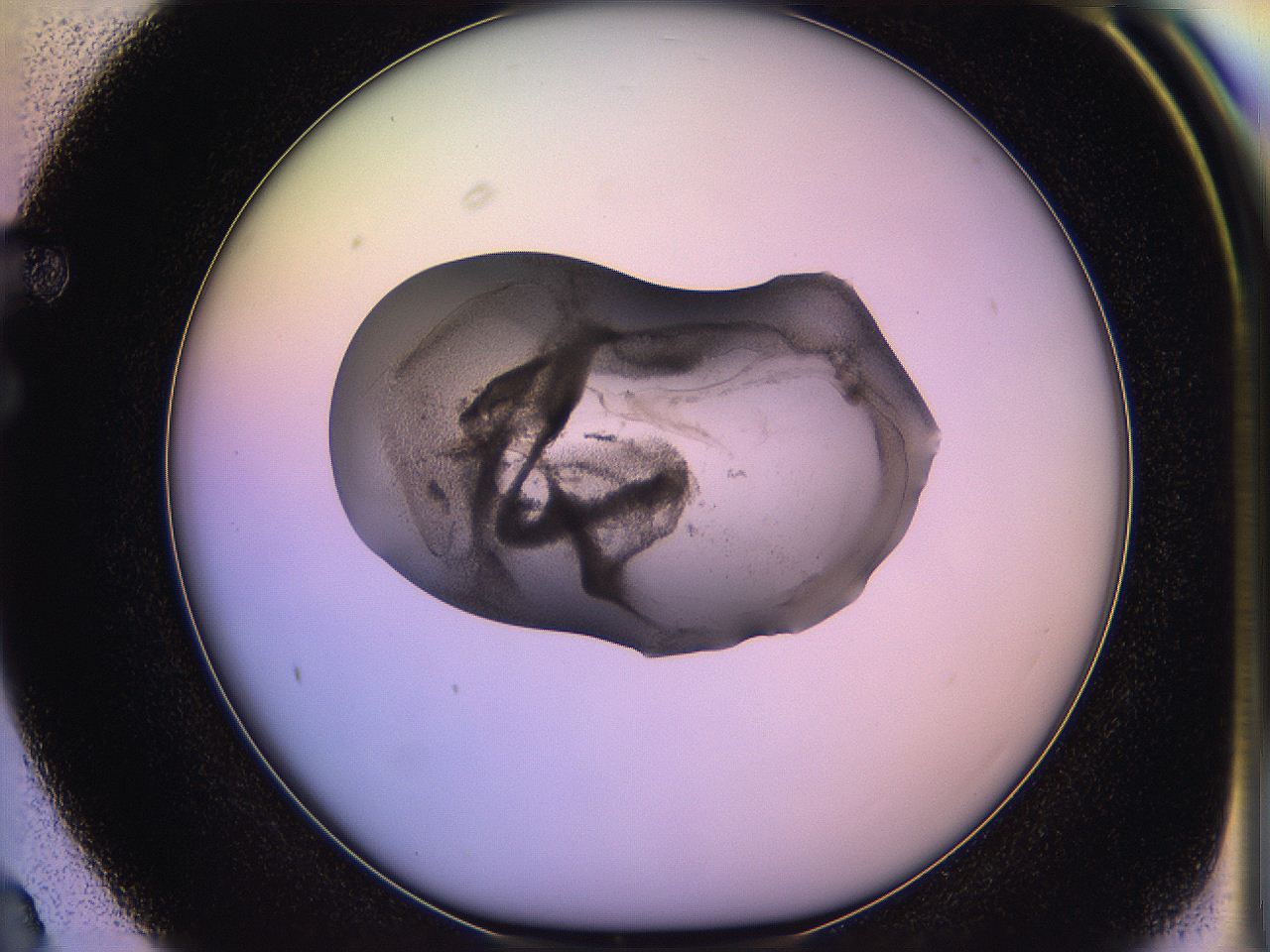 05qo_F3_ImagerDefaults_3.jpg