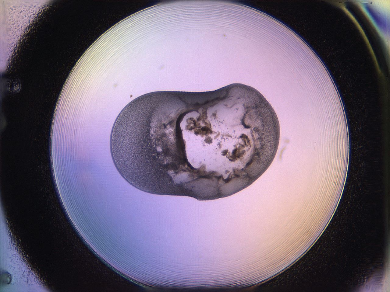 05qo_F5_ImagerDefaults_3.jpg