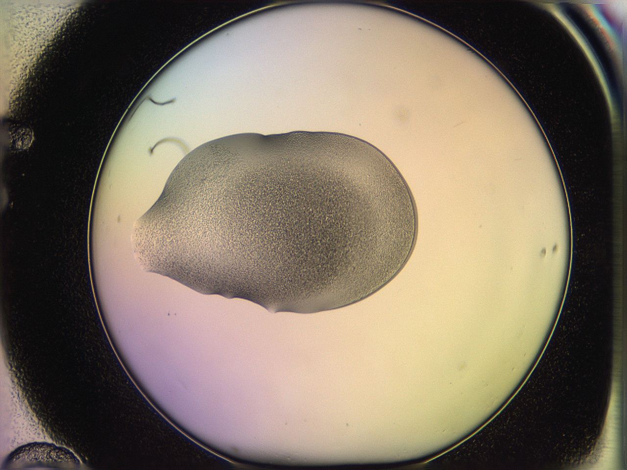 05qo_F10_ImagerDefaults_3.jpg