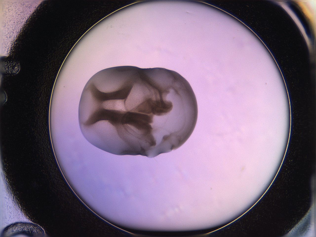 05qo_F12_ImagerDefaults_3.jpg